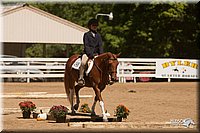 4H-Dsts-10_1035.jpg