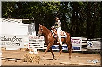 4H-Dsts-10_1043.jpg