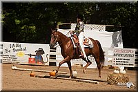 4H-Dsts-10_1044.jpg