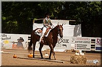 4H-Dsts-10_1046.jpg