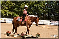 4H-Dsts-10_1063.jpg