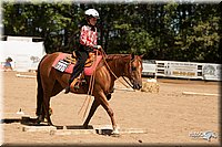 4H-Dsts-10_1065.jpg