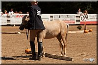 4H-Dsts-10_1079.jpg