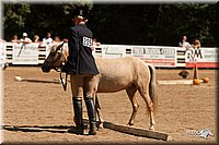 4H-Dsts-10_1080.jpg