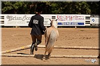 4H-Dsts-10_1082.jpg