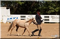 4H-Dsts-10_1083.jpg