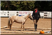 4H-Dsts-10_1084.jpg