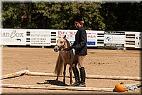 4H-Dsts-10_1085.jpg