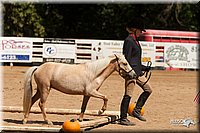 4H-Dsts-10_1086.jpg