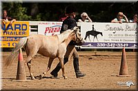 4H-Dsts-10_1087.jpg