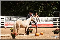 4H-Dsts-10_1088.jpg