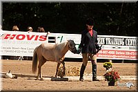 4H-Dsts-10_1089.jpg
