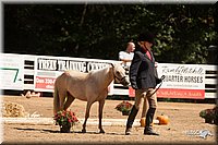 4H-Dsts-10_1090.jpg