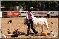 4H-Dsts-10_1093.jpg