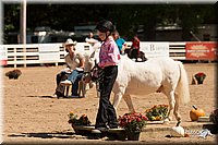 4H-Dsts-10_1095.jpg
