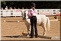 4H-Dsts-10_1096.jpg