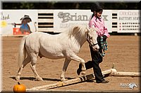 4H-Dsts-10_1100.jpg