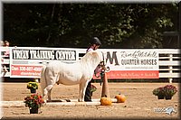 4H-Dsts-10_1102.jpg