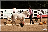 4H-Dsts-10_1103.jpg