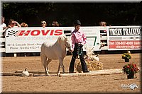4H-Dsts-10_1104.jpg