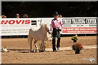 4H-Dsts-10_1105.jpg