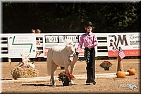 4H-Dsts-10_1106.jpg