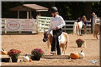 4H-Dsts-10_1107.jpg