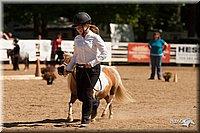 4H-Dsts-10_1113.jpg