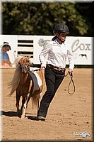 4H-Dsts-10_1115.jpg