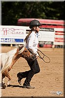 4H-Dsts-10_1116.jpg