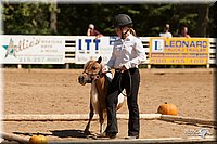 4H-Dsts-10_1117.jpg