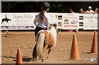 4H-Dsts-10_1118.jpg
