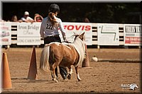 4H-Dsts-10_1119.jpg