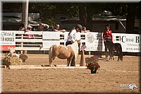 4H-Dsts-10_1120.jpg