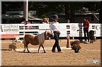 4H-Dsts-10_1121.jpg