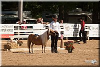 4H-Dsts-10_1122.jpg