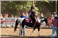 4H-Dsts-10_1165.jpg
