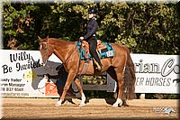 4H-Dsts-10_1173.jpg