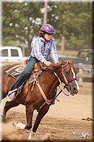 LC-Fair-2010_2732.jpg