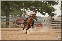 LC-Fair-2010_2737.jpg