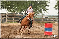 LC-Fair-2010_2746.jpg