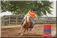 LC-Fair-2010_2760.jpg