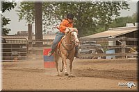 LC-Fair-2010_2762.jpg