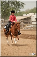 LC-Fair-2010_2770.jpg