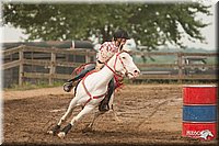 LC-Fair-2010_2779.jpg