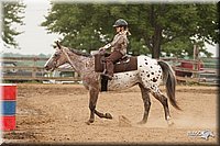 LC-Fair-2010_2820.jpg