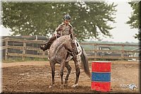 LC-Fair-2010_2823.jpg