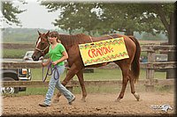 LC-Fair-2010_2957.jpg