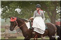 LC-Fair-2010_2961.jpg