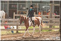 LC-Fair-2010_2622.jpg